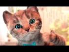Крошка Котенок-Мой Любимый Кот.Любимый Питомец Возвращается с Новыми Мини-Играми.Мультики для Детей