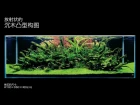 [ADAview] 180cm Aquarium Layout: Convex Composition with Driftwood