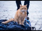A Street Cat Named Bob - Official Trailer - At Cinemas November 4
