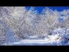 Зимняя волшебная сказка очень красивое видео и нежная музыка