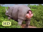 Эйс Вентура 2 или Джим Керри в жопе у носорога