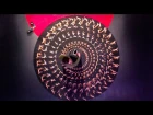 The forgotten art of the zoetrope | Eric Dyer