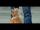 A Street Cat Named Bob - Getting the Punters In Clip - At Cinemas Now