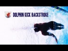 Техника плавания кролем на спине - Dolphin Kick Backstroke [ENG] 