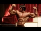 Arnold Schwarzenegger Bodybuilding Training Motivation - The KING 2015