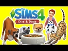 The Sims 4 Cats and Dogs Gameplay