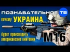 Почему Украина будет производить американские винтовки M16? (Познавательное ТВ, А...