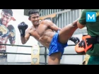 Buakaw Banchamek Muay Thai Training | Muscle Madness