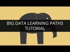 Introduction to Big Data & Hadoop | Big Data Learning Paths | Hadoop Tutorial for Beginners