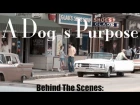 A Dog's Purpose: Behind the Scenes with Britt Robertson, K.J. Apa, Lasse Hallstrom