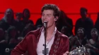 Shawn Mendes - Hound Dog | Elvis Presley All Star Tribute