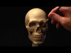 Sculpting a Human Skull in Clay_part-3 of 3