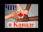 ЧП в Канаде! Случай расизма в Торонто. Что такое Affirmative Action. Эмиграция в Канаду. Ка...