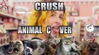 Tessa Violet - Crush (Animal Cover)