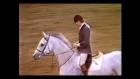 Anthony D'Ambrosio with Sweet & Low: Puissance World Record 1983