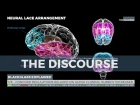 The Discourse - Hidden Research Base Leads to New Implant Tech