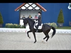 Horses & Dreams meets Denmark - Grand Prix Special - Kristina Bröring-Sprehe & Desperados