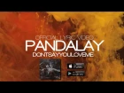 PANDALAY - DON'T SAY YOU LOVE ME (OFFICIAL LYRIC VIDEO)