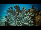 An Underwater Art Museum, Teeming with Life | Jason deCaires Taylor | TED Talks
