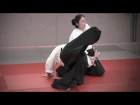 Aikido: OKAMOTO Yoko Sensei - Seminar in Offenbach 2014