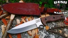 Нож Shark от Кизляр Суприм (Shark knife from Kizlyar Supreme)