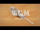 墨烏賊（すみいか）のさばき方 - How to filet Cuttlefish -｜日本さばけるプロジェクト