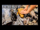 Дикая кухня - РЫБА В ГЛИНЕ | Steamed Fish In Clay