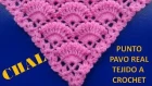 Chal a crochet # 2 tejido en punto pavo real a crochet o ganchillo paso a paso - CHAL crocheting