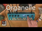 Organelle - звуковой модуль