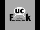 Fuck Cockroachez - Nakseo(ZICO) & Runch Randa(Rap Monster)