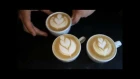 Barista training (latte art) # 3