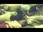 Polkadot Cadaver-Last Call in Jonestown