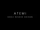 Atemi: Shoji Nishio Shihan