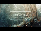 Blue Coral | SVP Coloring [-Crystal-]