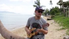 How deep is your love [Guitarlele cover] from Samui