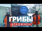 Таджики перепели "Грибы - Тает Лёд" (Пародия) (#NR)