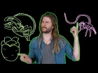 How Every Xenomorph Fits With Every ALIEN Film! (Because Science w/ Kyle Hill)