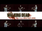 The Walking Dead   Main Theme Anastasia Soina violin