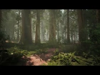 Speed Level Design - Redwood Forest - Unreal Engine 4 and World Machine 2