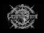 Carpathian Forest — A Fix On You (Dead Moon cover)