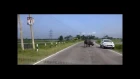 Video - One horned Rhino runs free on Tezpur Highway Assam, India