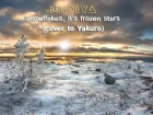 Nikolya - Snowflakes, it's frozen stars (cover to Yakuro)