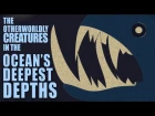 The otherworldly creatures in the ocean's deepest depths - Lidia Lins