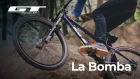 The La Bomba Life Feat. David Lieb