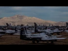 A  View from the Boneyard