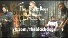 The Black Dogs (Led Zeppelin tribute band) 2019 promo