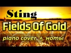 Sting - Fields Of Gold. PIANO COVER + НОТЫ