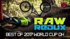 Vital RAW REDUX - Best of 2017 World Cup DH