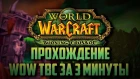 ПРОХОЖДЕНИЕ WORLD OF WARCRAFT THE BURNING CRUSADE ЗА 3 МИНУТЫ!