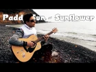 Paddy Sun - Sunflower на гитаре. Фингерстайл